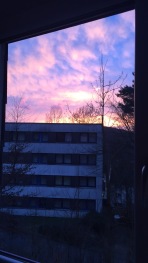 Gorgeous sunset from my window